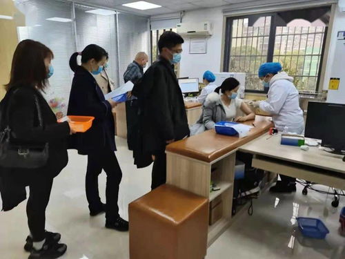 鉚足干勁辦實事，服務(wù)群眾開新局——岳麓區(qū)黨史學習教育引領(lǐng)教育咨詢服務(wù)新實踐